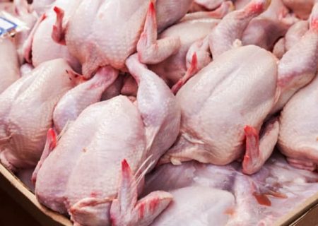 توزیع ٨۵٠ تن گوشت مرغ منجمد در سیستان وبلوچستان آغاز شد