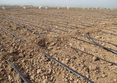 بیش‌از ۲ هزار میلیارد ریال طرح جهاد کشاورزی در سیستان و بلوچستان آماده بهره‌برداری است