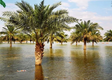 بارندگی های سامانه مونسون ۲۲۰میلیارد تومان به کشاورزی سرباز سیستان و بلوچستان خسارت زد