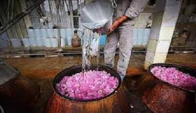 تفتان قطب تولید گلاب و عرقیات گیاهی سیستان و بلوچستان می شود