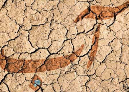 ۹۲ درصد مساحت سیستان و بلوچستان تحت تاثیر خشکسالی است