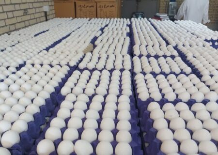 ظرفیت تولید تخم‌مرغ در سیستان و بلوچستان به ۱۱۵۲۰ تن رسید