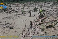 خسارت ۷۱۶ میلیارد تومانی سیلاب به کشاورزی زرآباد